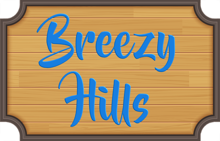 Breezy Hills at Mountain Meadows logo