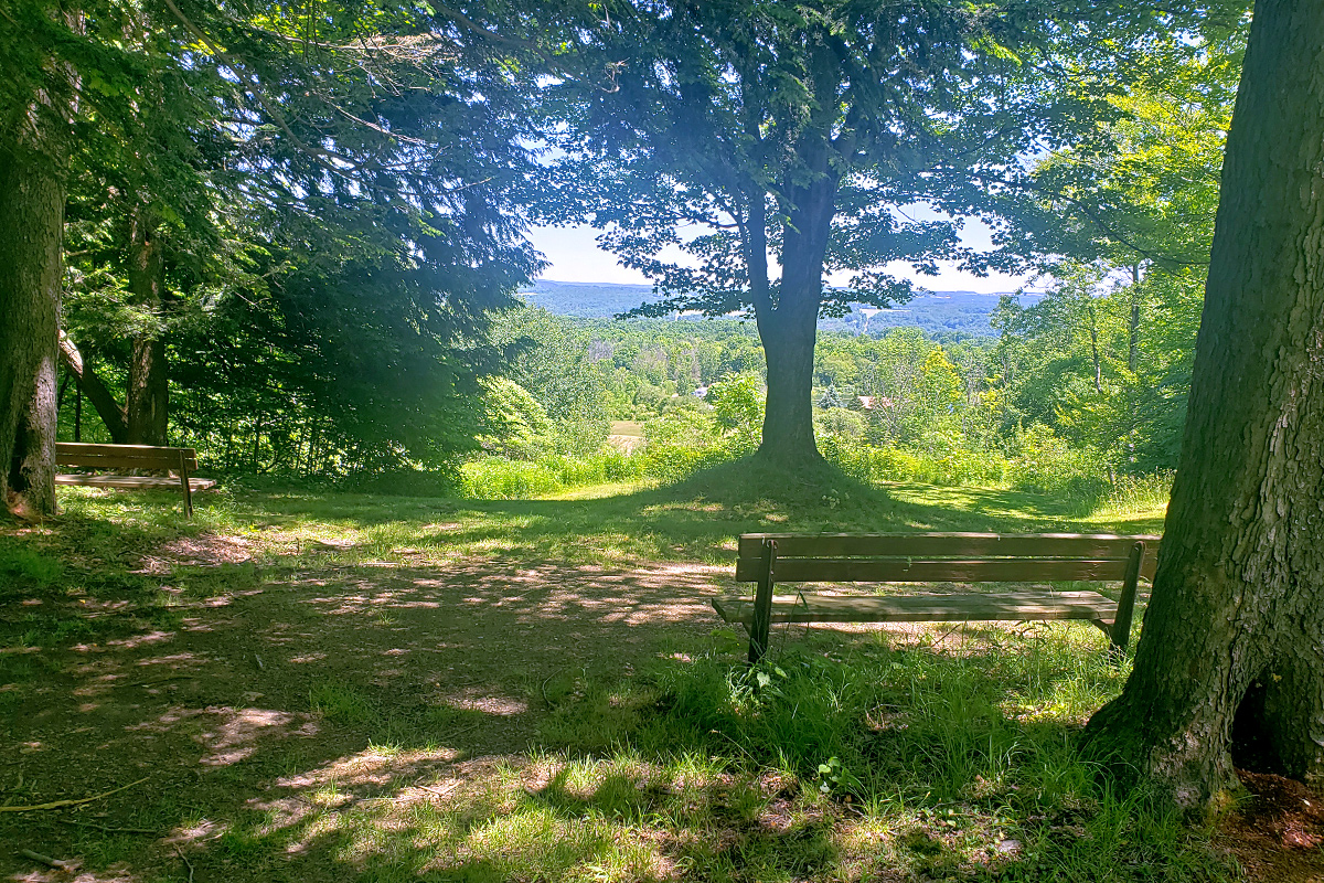 view from top of the hill