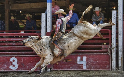 Attica Rodeo